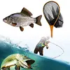 Wooden Handle Fishing Landing Net Soft Rubber Mesh Trout Catch and Release Net