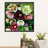 Morning Glory-Paint By Numbers Acrylic Painting 40*40cm