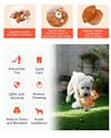Dog Toys Cute Plush and pet Interaction Pulling, Soothing, Companionship, Sturdy Indoor Puppy Toys, Dog Squeaky Toys, Puppy, or Small, Medium Dog Teething or chew Toys