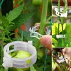50/100/150 pi&egrave;ces Clips support pour plantes