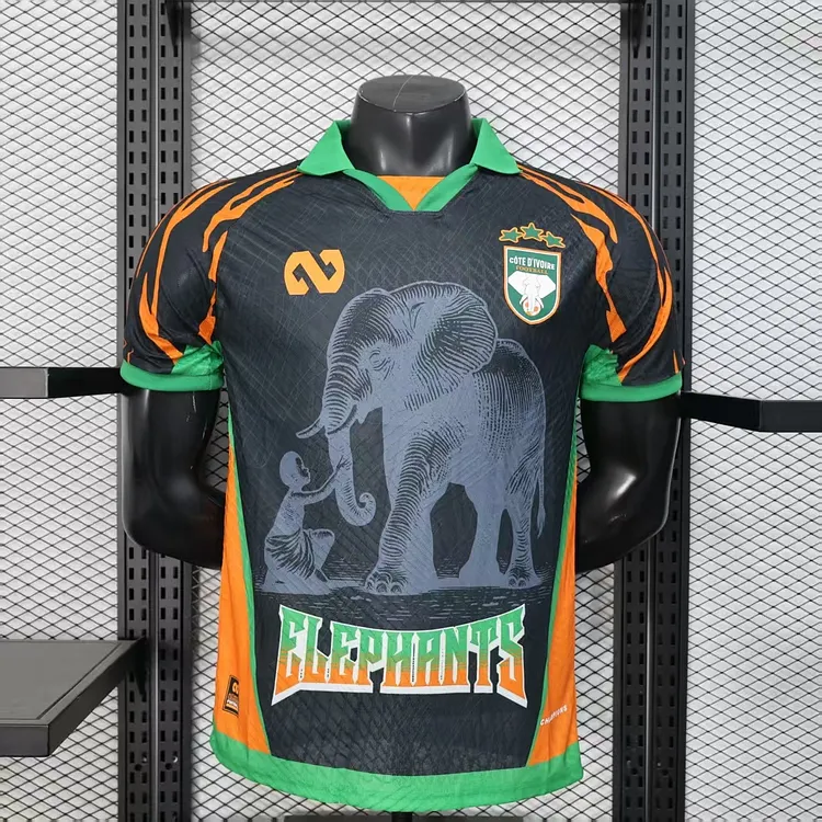 Player version - Ivory Coast 25/26 Special Edition Jersey