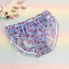 Plus-size mid-waist, hip-hugging, sheer mesh briefs