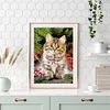 Diamond Painting -DIY Round Drill Cute Cat