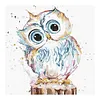 Cute Owl-Paint by Numbers Acrylic Painting 20*20cm
