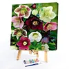 Morning Glory-Paint By Numbers Acrylic Painting 40*40cm
