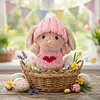 Handmade Mini Bunny Hug Cute with Gift Box Card Soft Floppytiny Easter Bunnie Best Gifts for Bunny Easter Holiday Birthday
