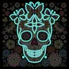 Flower Skull-Luminous Special Shaped Diamond Painting Kit