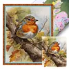 (US Local)Robin-11CT Stamped Cross Stitch Kit(40x50cm)
