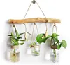 Glass Container Plants Glass Air Plants Hanging Glass Container Plants Glass Home Decor Vase Wall Mounted Glass Planter (Hanging Glass Vase)