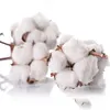 1 Roll Craft Yarn Soft DIY Thick Thread Knitting Line for Knitting Scarf Sweater