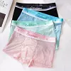 Ice Silk Breathable Mesh Transparent Sexy Underwear