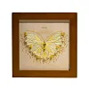 3D DIY Bead Embroidery Butterfly Home Decor Gift Tabletop Display Frame Kit(Include Embroidery Hoop)