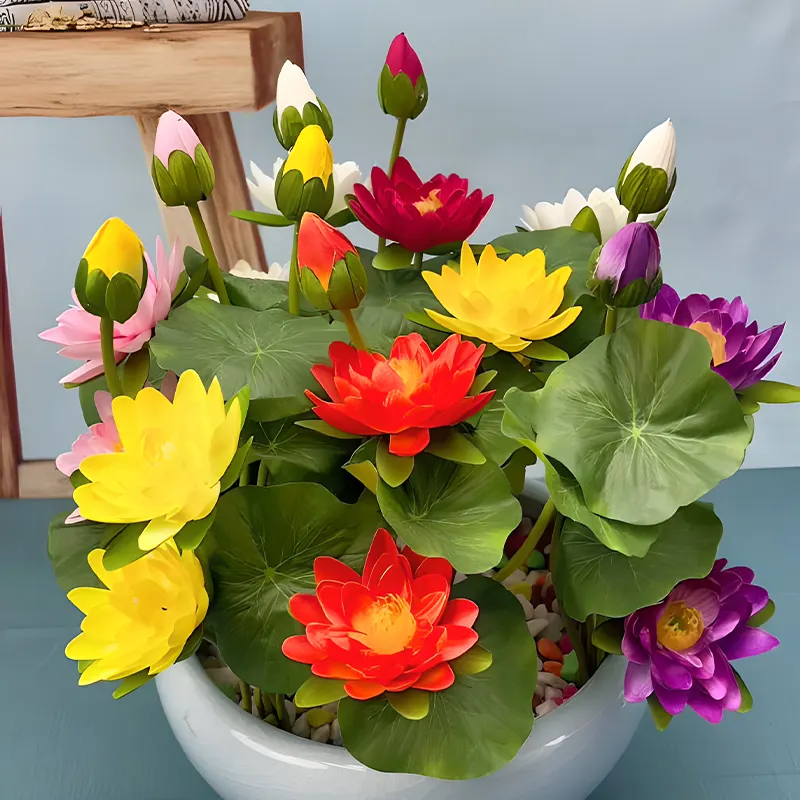 🔥【7 days germination】💐The Sacred Bonsai Bowl Lotus Flower