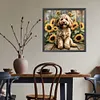 Teddy-Peinture diamant foret rond-40*40cm