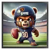 Chicago Bears Football-11CT Stamped Cross Stitch 40*40cm