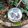 500ML Self Watering Globes Automatic Plant Waterer for Plant Indoor Outdoor