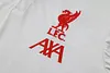 Joyfball 2025/2026 Liverpool Polo Casual Suit Jersey 1:1 Thai Quality
