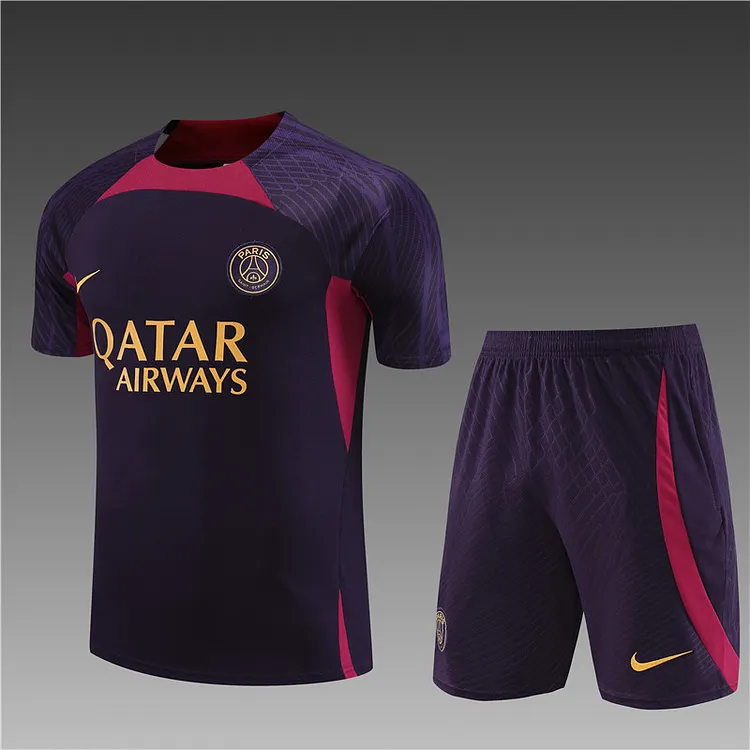 2023-24 Paris Blue Purple Short Sleeve Training Jersey