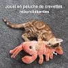 Jouet interactif &eacute;lectrique de disquette de chien de chat