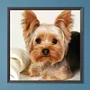 Dog-Full Square Diamond Painting