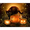 Halloween Black Cat - Paint By Numbers - 50*40CM