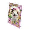 Special Shape Phalaenopsis Table Top Diamond Painting Frame Kits for Beginners