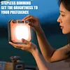 Hand Crank LED Camping Lantern Rechargeable Tent Light Camping Lamp for Outdoor