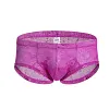 Low Waist Sexy Sheer Mesh Lace Briefs