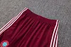 Joyfball 2025/2026 Bayern Munich Long Zipped Jacket Maroon Retro version Football Jersey 1:1 Thai Quality 