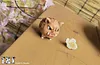 1/6 Scale Insosuke Hashibira - Demon Slayer: Kimetsu no Yaiba Resin Statue - T.N.T Studios