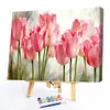 Pink Picasso Flower - Paint by Numbers Acrylic Painting 40x50cm(Watercolor)(HOT)