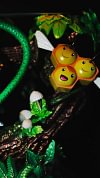 First Generation Starter Pokemon Bulbasaur with LED - Pokemon Resin Statue - BallBall Studio