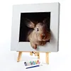 Rabbit-Paint By Numbers Acrylic Painting 30*30CM