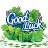 Good Luck-Pop Up Greeting Card