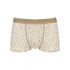 Men's Sexy Ultra-Thin Transparent Leopard Print Ice Silk Boxer Briefs