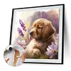 Golden Retriever Puppy-Paint by Numbers Acrylic Painting 40*40CM