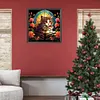 Cat Reading Book Glass Painting-Paint by Numbers Acrylic Painting 40*40CM