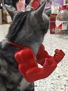 Cat Muscle Arm 3D Printed Neck Arm with Muscle Pet Cosplay Costume Accessories