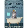Douche de chat - Panneaux en &eacute;tain m&eacute;tallique(30*40cm)