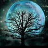 Branches Under The Moon-Paint by Numbers Acrylic Painting   20*20cm(HOT)