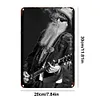 ZZ Top Billy Gibbons - Panneaux en &eacute;tain m&eacute;tallique(20*30cm/30*40cm) - Musique