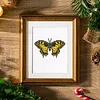 12pcs Butterfly-1 5D DIY Square Drill Diamond Painting Kits for Adults Beginners Home Decor Diamonds Paintings Gem Art 5.91x7.09in