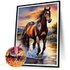 Horse -Full Square Diamond Painting(40x50cm)