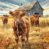 Highland Cattle-Full Embroidery 2 Strands 14CT Stamped Cross Stitch-40*40CM