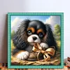 King Charles Cavaliers Dog-14CT Counted Cross Stitch 40*40cm