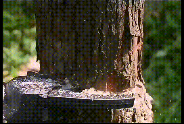1712657771316672.gif 2 00_00_00-00_00_30.gif