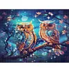 Owls - 9CT Full Beaded Cross Stitch Kit(52x40cm)