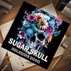 4 Pcs Skull Coloring Book Set Mindfulness Art Books for Adults 