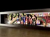 3D Decorative Paint of Special Collection Ver. Dragon Ball - Dragon Ball Decorative Painting - momo Studio