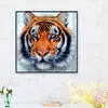 Tiger - Full Round Diamond Painting  30*30cm
